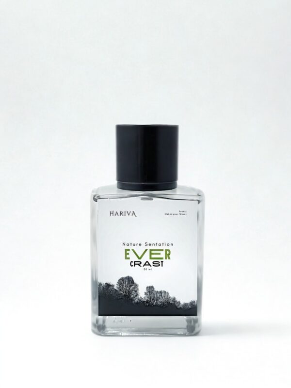 Evercrest (Botanical/nature - Fresh & Citrus series) - Image 2