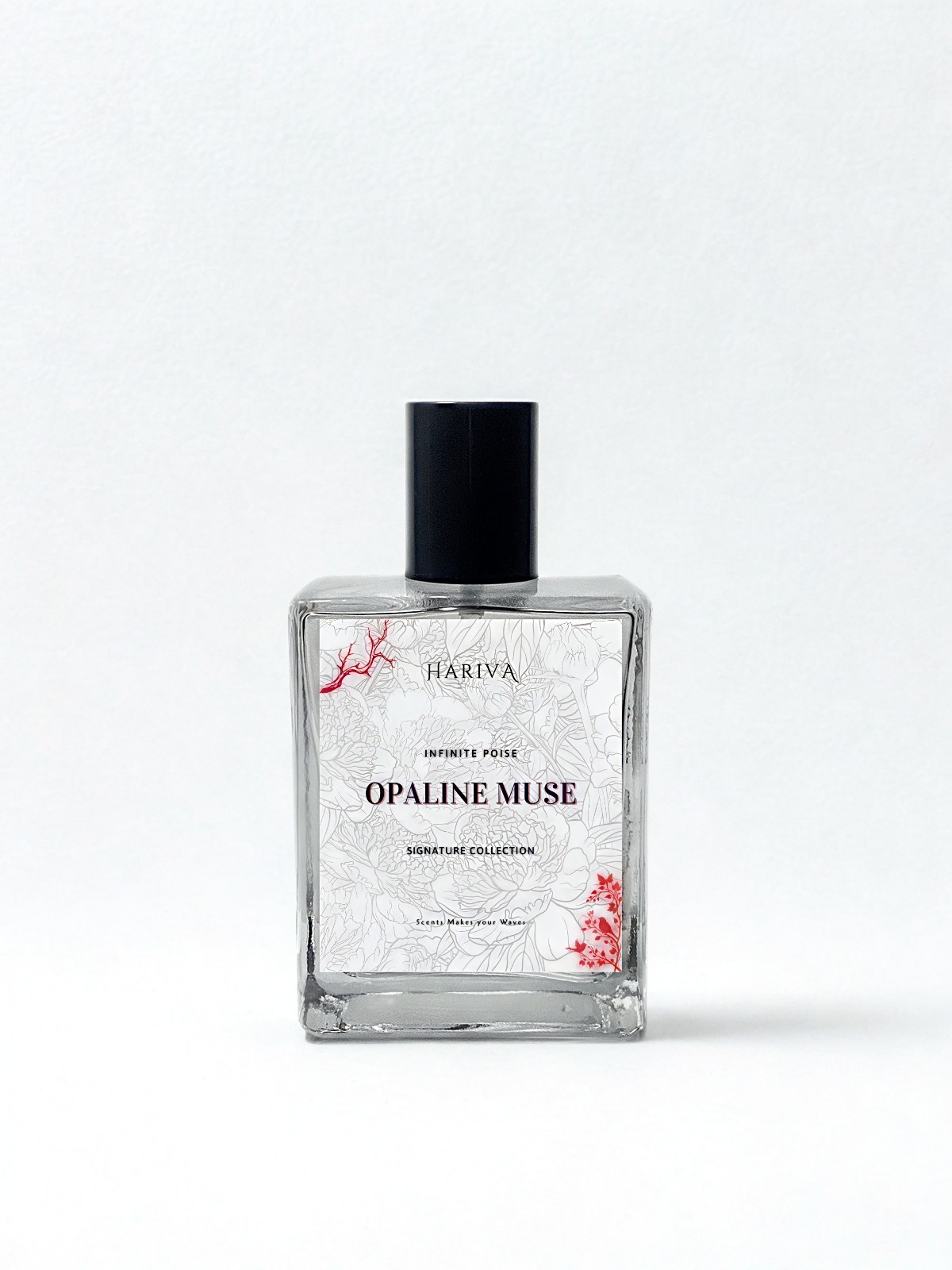 Amora Belle (Elegant - Gourmand Series) - Image 3